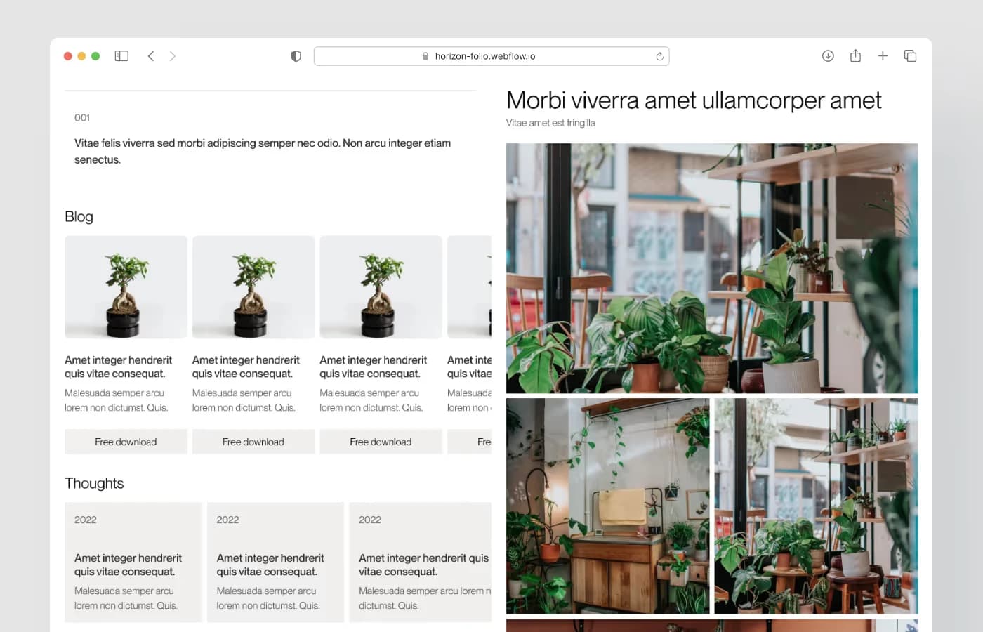 Horizon Folio · Portfolio Website template, screen 5